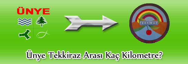 Ünye Tekkiraz Arası Kaç Km