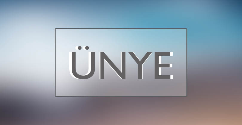 Ünyedeki Liseler